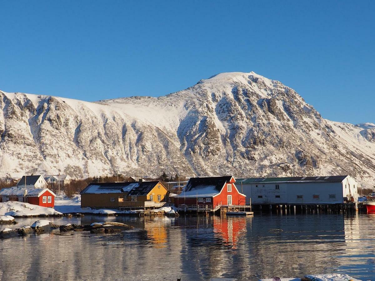 Lofoten Ocean View - Sandoy Gard Санд Экстерьер фото